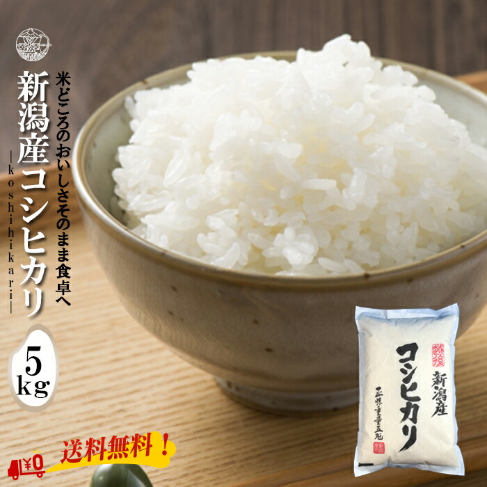 産地直送 【令和６年産】 新潟産コシヒカリ 白米 5kg (5kg×1袋) 新潟県産 送料無料  新潟 こしひかり おこめ お米 米 米5kg 米5キロ お米5キロ 白米