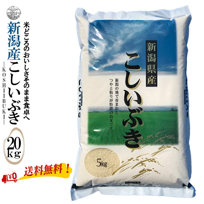 産地直送 【令和６年産】 新潟産こしいぶき 白米20kg （5kg×4袋）