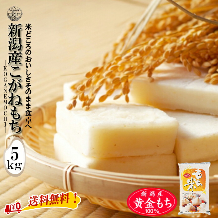 産地直送【令和６年産】 新潟産 こがねもち ５kg