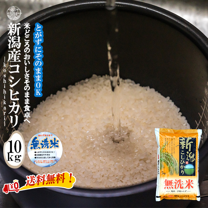 産地直送 【令和６年産】 無洗米 新潟産コシヒカリ 10kg （5kg×2袋）