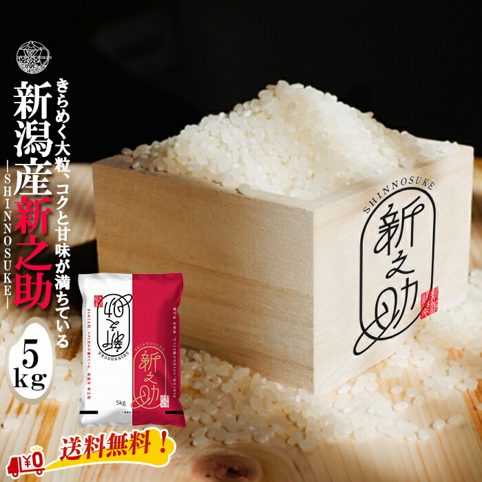 ★産地直送★ 新之助 【令和６年産】 新潟県産 新之助 白米5kg (5kg×1袋) 新潟産 送料無料  新潟 しんのすけ おこめ お米 米 米5kg 米5キロ お米5キロ 白米 コメブランド米 お米マイスター認定 御中元 贈り物 お祝い お取り寄せ 内祝い ギフト