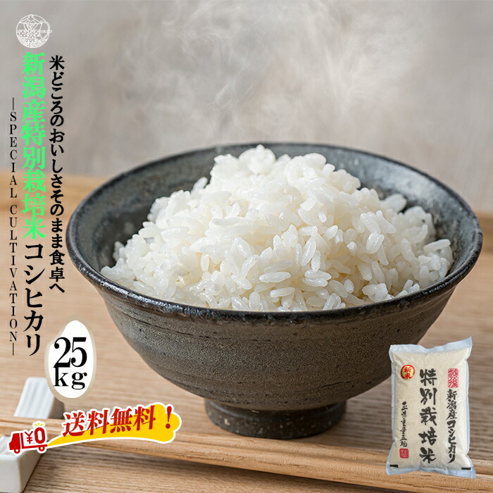 産地直送 【令和６年産】 新潟産特別栽培米コシヒカリ 白米25kg （5kg×5袋）新潟県産 送料無料 新潟 こしひかり おこめ お米 米 米25kg 米25キロ お米25キロ 白米 特別栽培米 特栽コシヒカリ