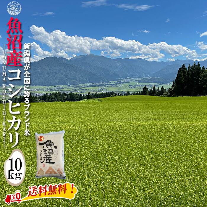 産地直送 【令和６年産】  魚沼産 コシヒカリ 白米10kg (5kg×2袋) 新潟県産 送料無料  魚沼 特A 1等 新潟 こしひかり おこめ お米 米 米10kg 米10キロ お米10キロ 白米 コメブランド米