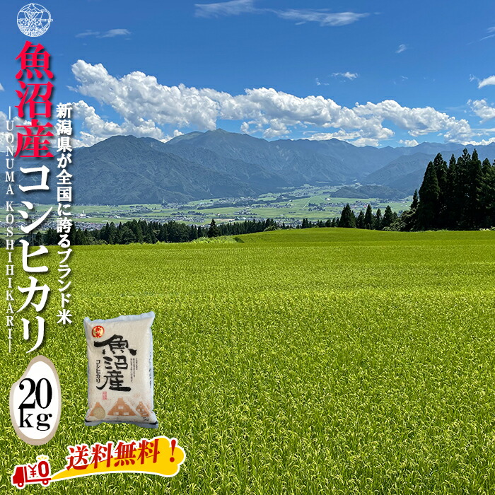 産地直送 【令和６年産】 魚沼産 コシヒカリ 白米20kg (5kg×4袋) 新潟県産 送料無料  魚沼 特A 1等 新潟 こしひかり おこめ お米 米 米20kg 米20キロ お米20キロ 白米 コメブランド米