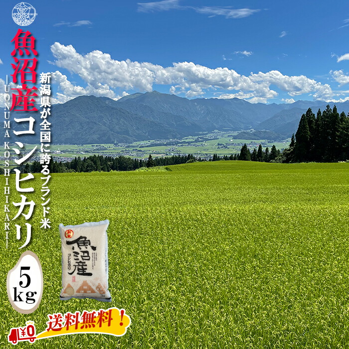 産地直送 【令和６年産】 魚沼産 コシヒカリ 白米5kg (5kg×1袋) 新潟県産 送料無料  魚沼 特A 1等 新潟 こしひかり おこめ お米 米 米5kg 米5キロ お米5キロ 白米 コメブランド米 お歳暮