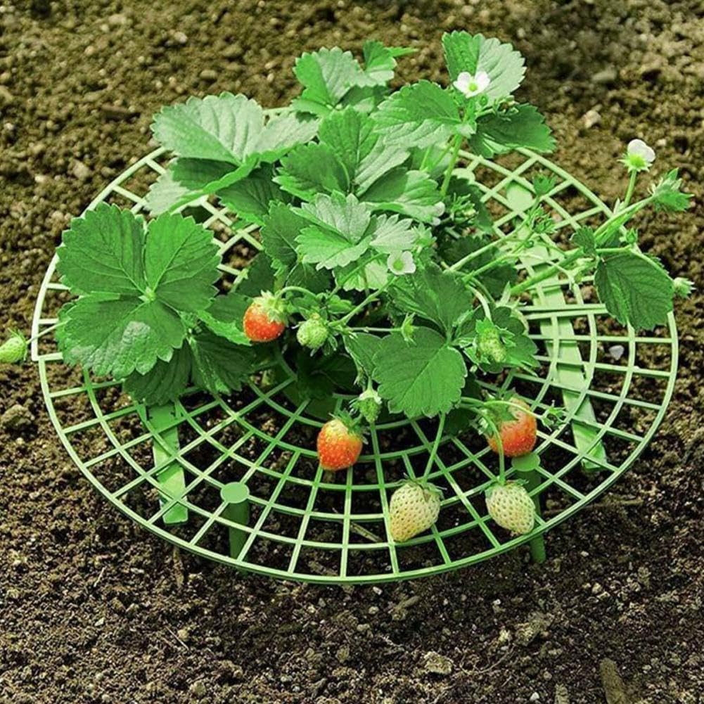 10個のイチゴ植物サポート、再利用可能なイチゴ植栽スタンドホルダー、庭用、イチゴ栽培フレームホルダーケージ防イチゴ栽培ラック植物|擇木ショップ