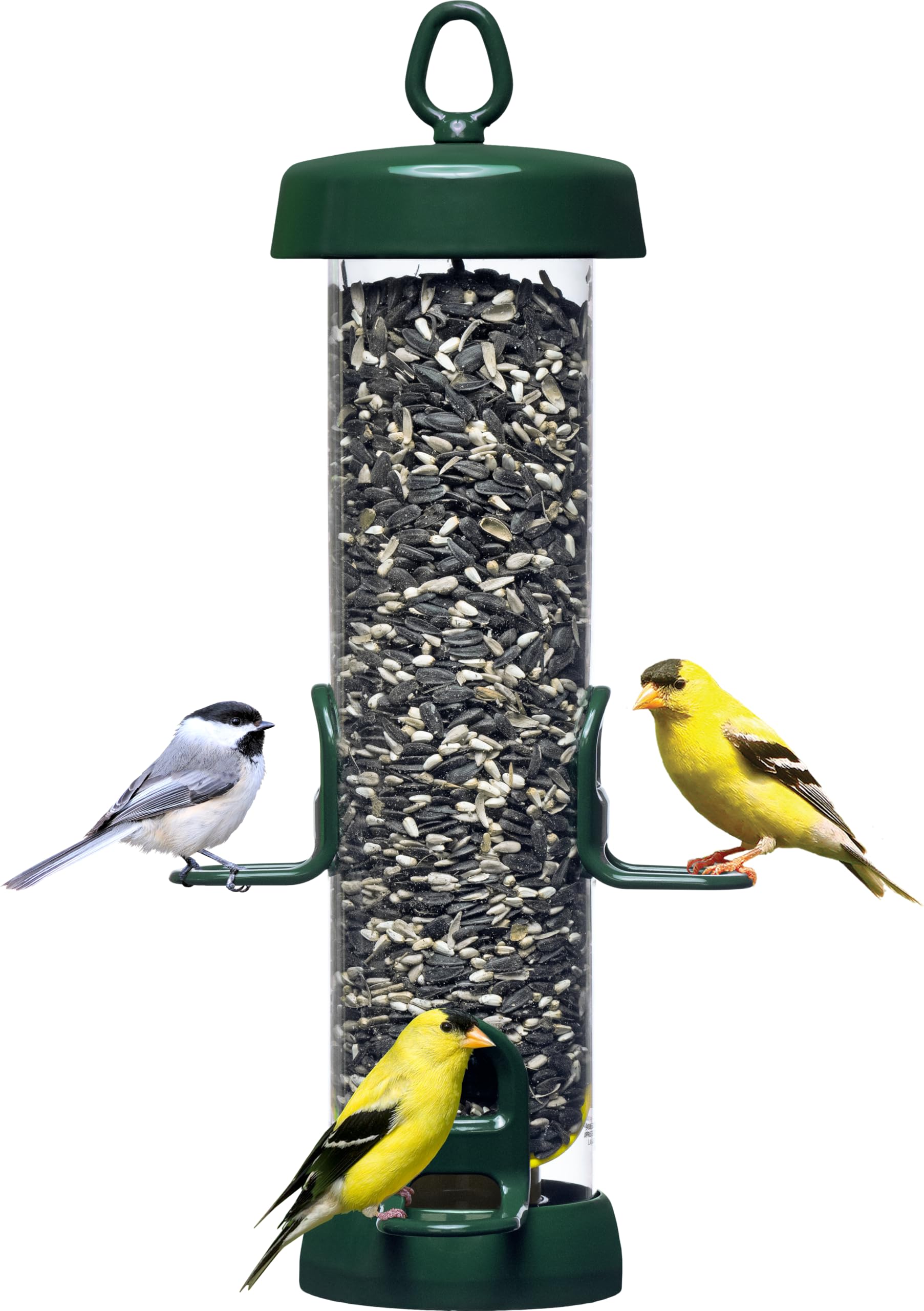 150 2.5ポンド 種子容量 野鳥フィーダー 4つードポート付き|擇木ショップ