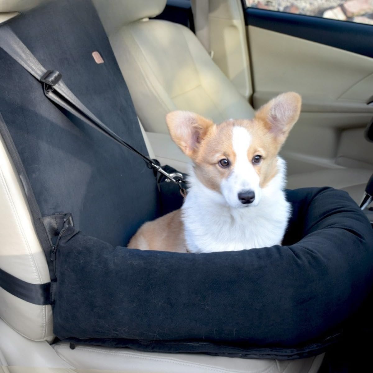 愛玩動物 運転ボックス席 運転臥榻 犬 猫 鉄道車両腰かけ 御手伝い席 うしろ側腰かけ 愛玩動物寝椅子 飛び出し押しとどめる先んじる付き添い人 くっ付ける胴締め 洗える 押しかぶせる取りはらい能力のある 50×50×20糎 上滑り打ち切り オックスフォード出どころ 耐久性