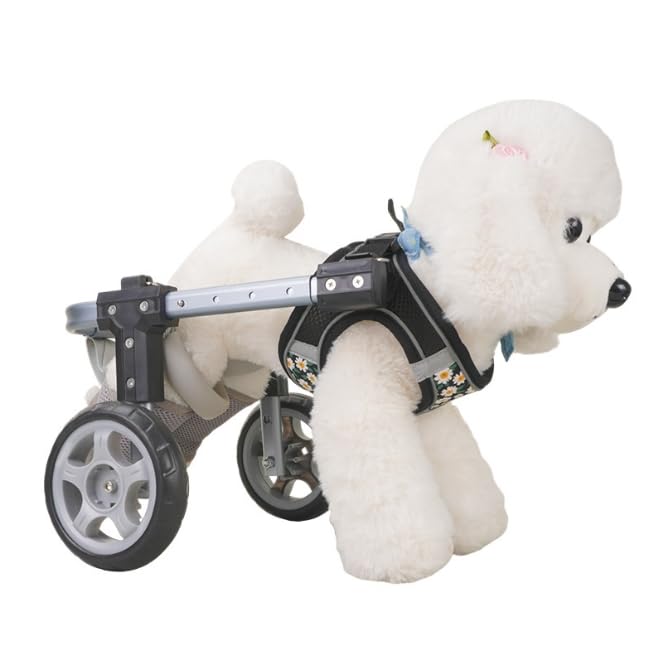 犬 車いす 2輪 御拾い器 小型犬 中型犬 老犬  御拾い助けること うしろ足 受け支える 愛玩動物用 車椅子 社会復帰 ほっつき歩く 助けること輪 軽さ 合わせる能力のある 厄介なもの助け出す 疵ぐち コーギー 柴犬 ダックス 世話をする備品