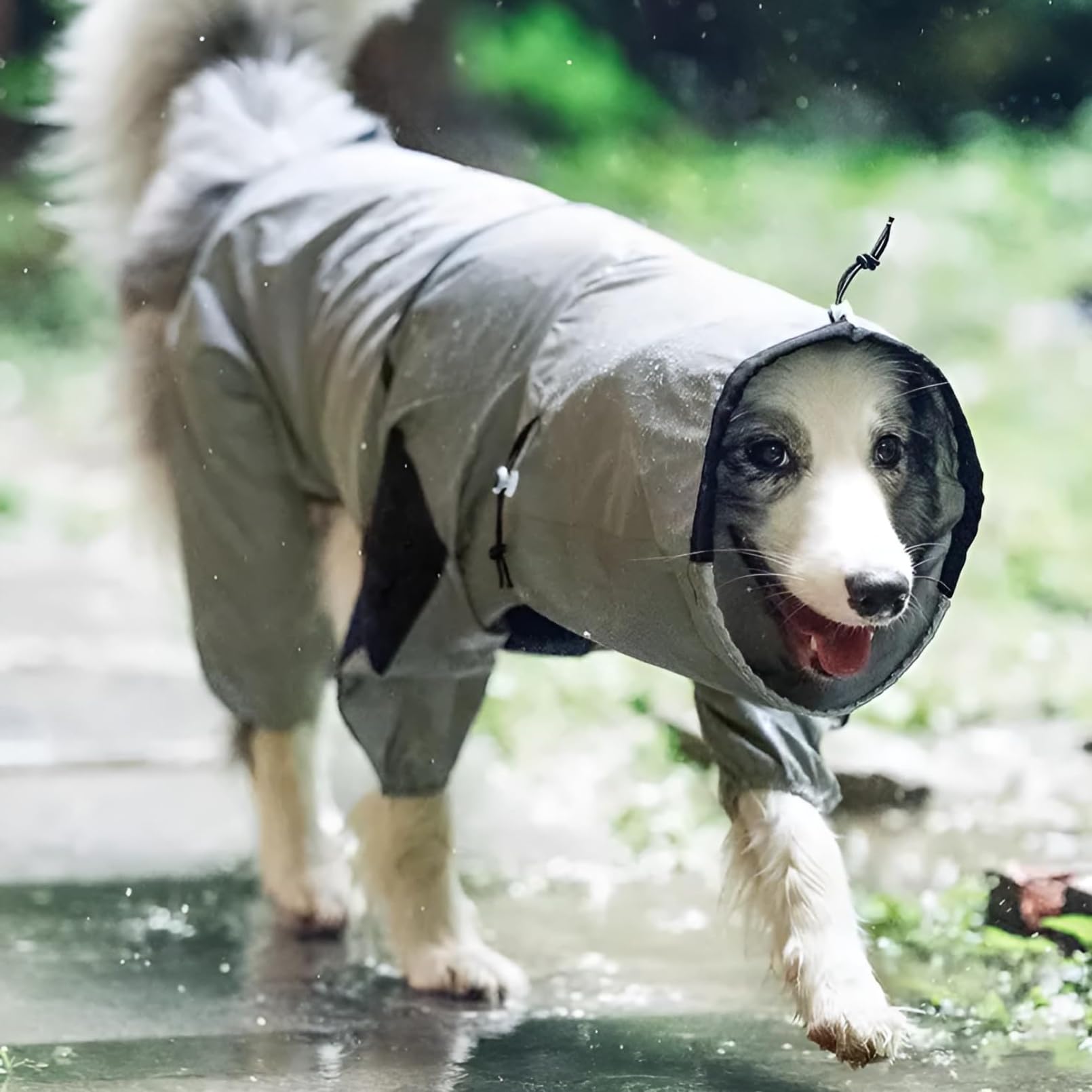 犬 雨合羽 中型犬 大型犬 盛りだくさん取りまかなう 4脚印字機 照りかえす原料品 雨合羽 透湿 ロンパース 愛玩動物用 雨具 カッパ 繋ぎ 足付き ドッグウェア 後ろ側チャック 先んじる穴 合わせる能力のある 首元取りまかなう 汚れた状態押しとどめる ほっつき歩く 防風 雪打つ手 オール季節