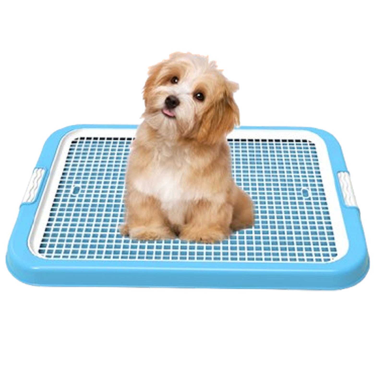犬 トイレ トレー メッシュ スノコ付き 犬用トイレトレー しつけ トレーニング レギュラー 囲い付き 壁付き 飛び散り防止 おしっこ トイレ本体 屋内 室内 ペットトイレ トイレ容器 プラスチック 水洗い 分解 お手入れ簡単 犬用品 小型｜擇木ショップ