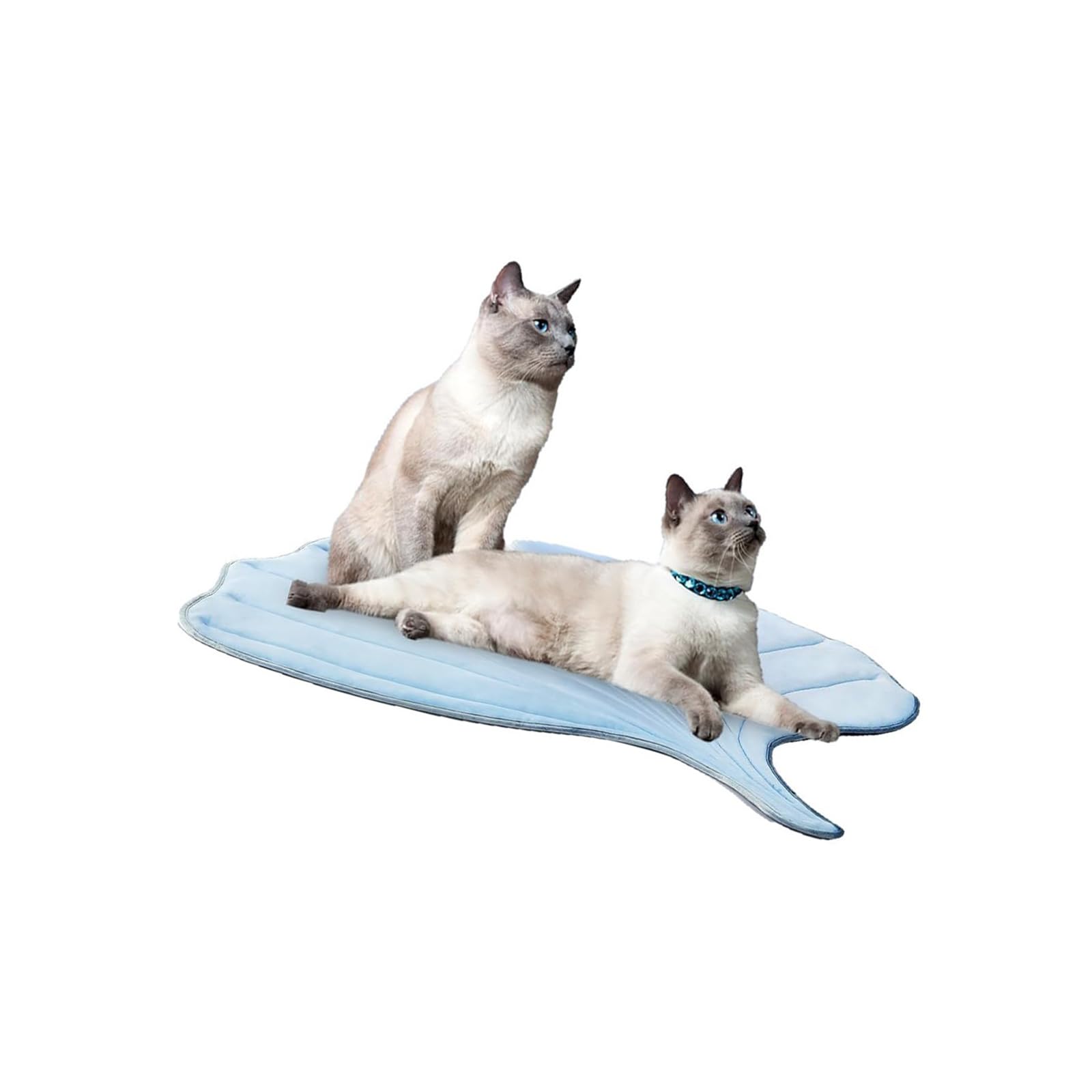 猫 愛玩動物用 冷感引っ敷き クールマット 夏用 ひんやり 涼感 座布団 敷きパッド 寝具 犬 猫 当たること冷感 意気組み症打つ手 暑さ打つ手 パステル色の 通気性 好いたらしい お取りつくろう飾り気の無い 今めかしい