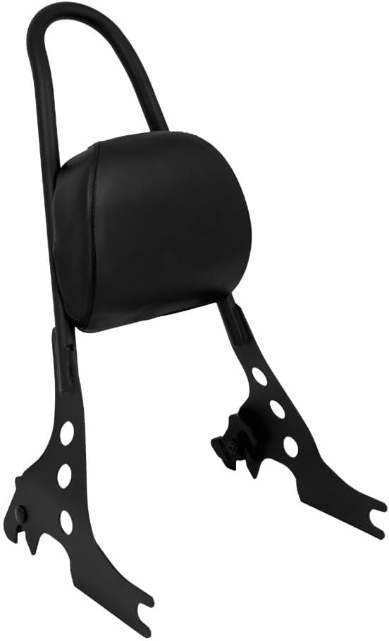 自動二輪車用 デタッチャブル シーシーバー 乗り手 バックレスト 裏 タンデムバー 黒いこと カスタム部分品 運動競技はやりっ児相応う大きさ
