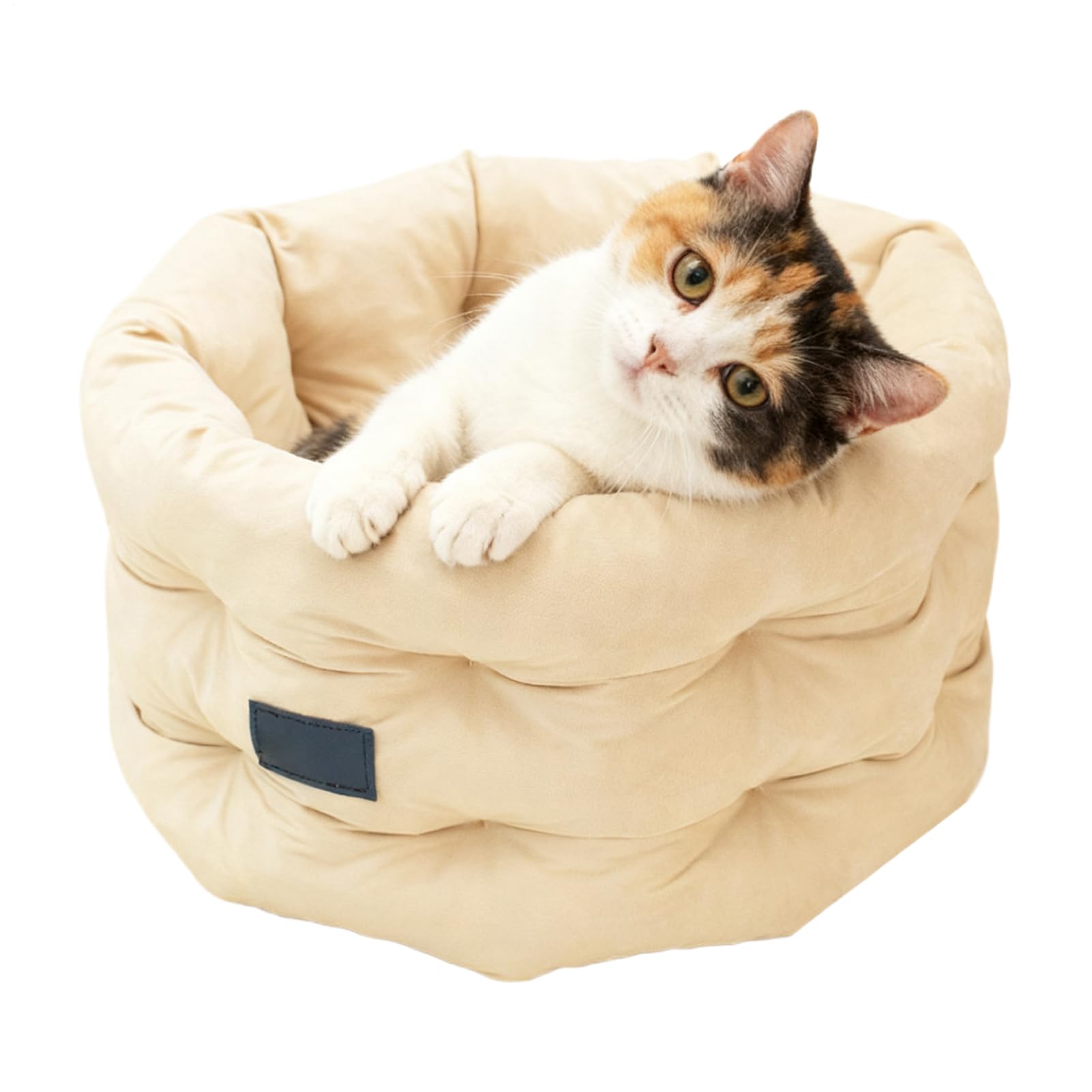 猫用臥榻 愛玩動物臥榻 丸型 座布団 上滑り打ち切り付き添い人 洗える 保温性 ふわふわ ホンブルグ帽触れ合う 通年用 小型犬 子ネコ 臥榻 寝椅子型 今めかしい 愛玩動物備品