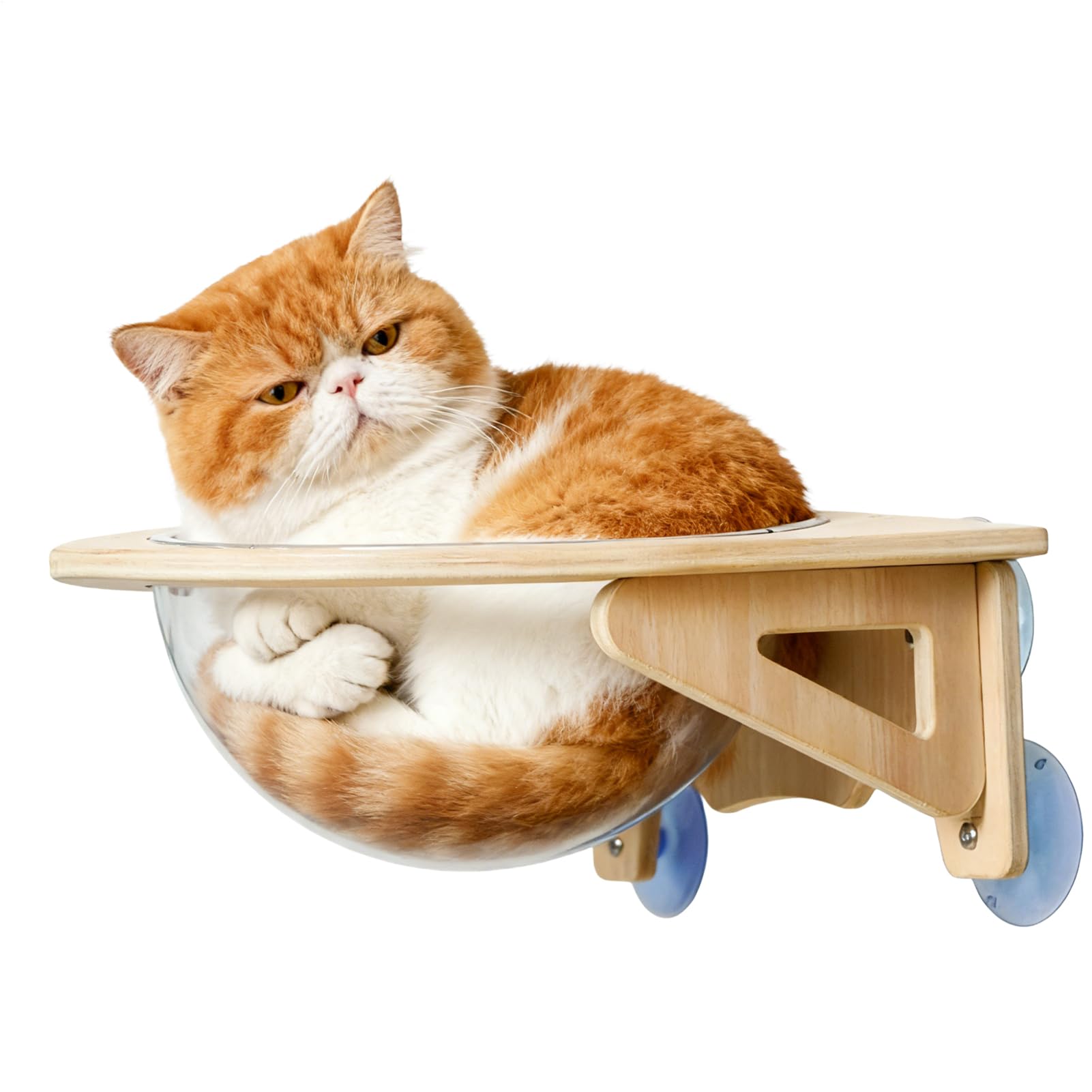 猫用 窓用臥榻 吸盤式 キャットハンモック 飾りもの 澄み切ったどんぶり鉢型 見晴らし台 釣り合い感 省間隔文字 キャットハウス 猫装置 今めかしい インスタ映え