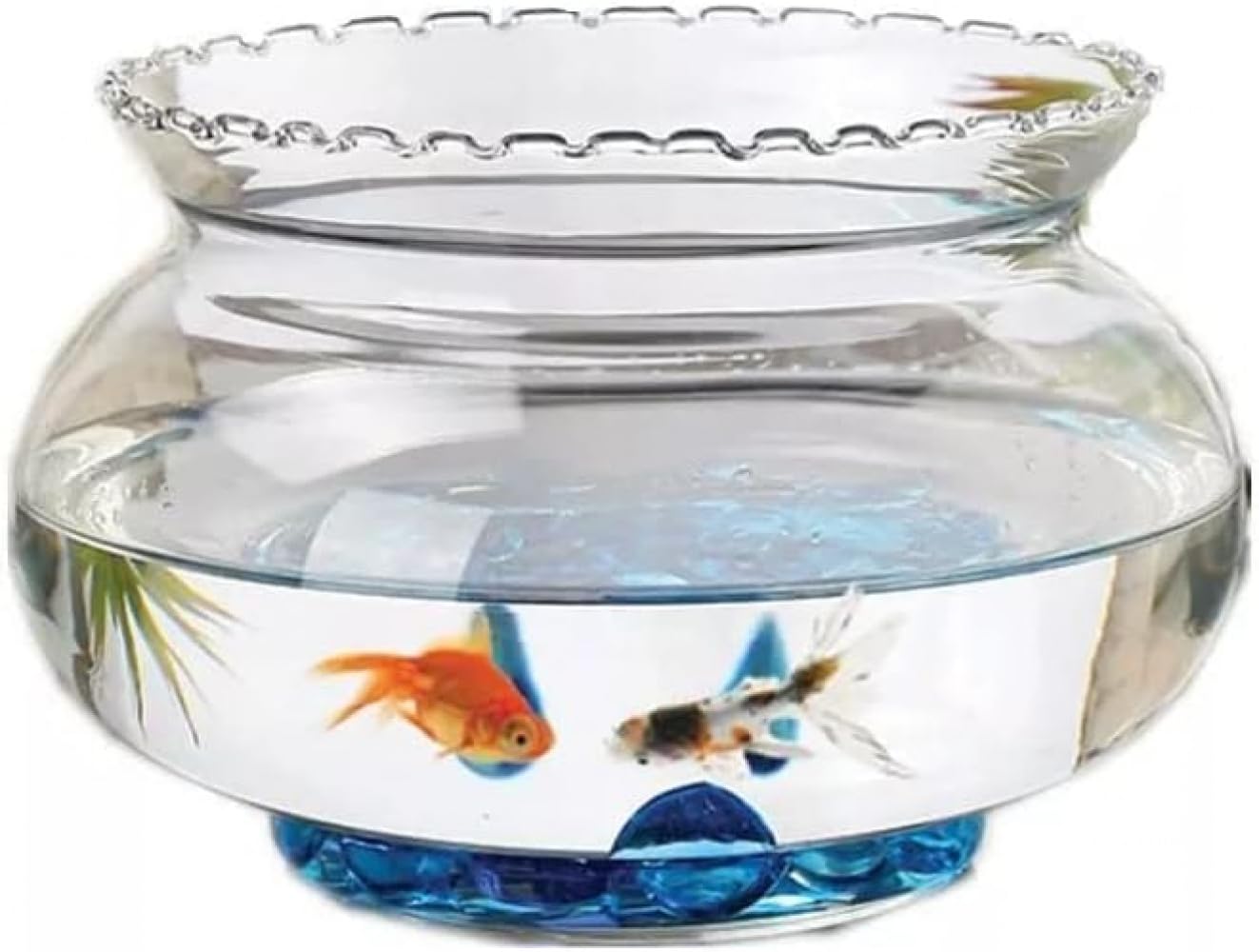 金魚鉢 硝子 今めかしい 丸型 海洋博物館 室内装飾 メダカ鉢 花立て 観葉草木 水耕作りだす 硝子どんぶり鉢 鉢 多役立つこと 卓上 飾りつけ