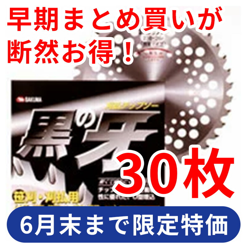 【６月末まで押さえる特価】草刈機用チップソー U型埋込「黒の牙」255（10in） 30枚入り口・入口