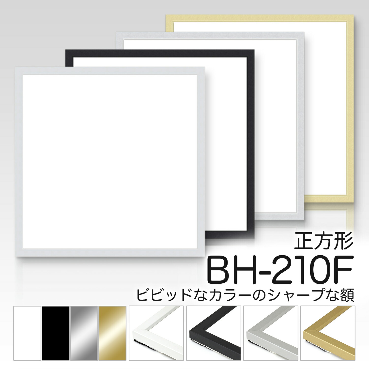 bh210fsei-01.jpg