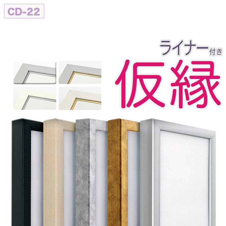 【大型貨物輸送別商いもの】【代引っ張ること不可】 仮縁 見せびらかす用写真立て【CD-22 RD印字機（ラインドライヴ付き添い人） 80号】帆布用 仮縁 油縁
