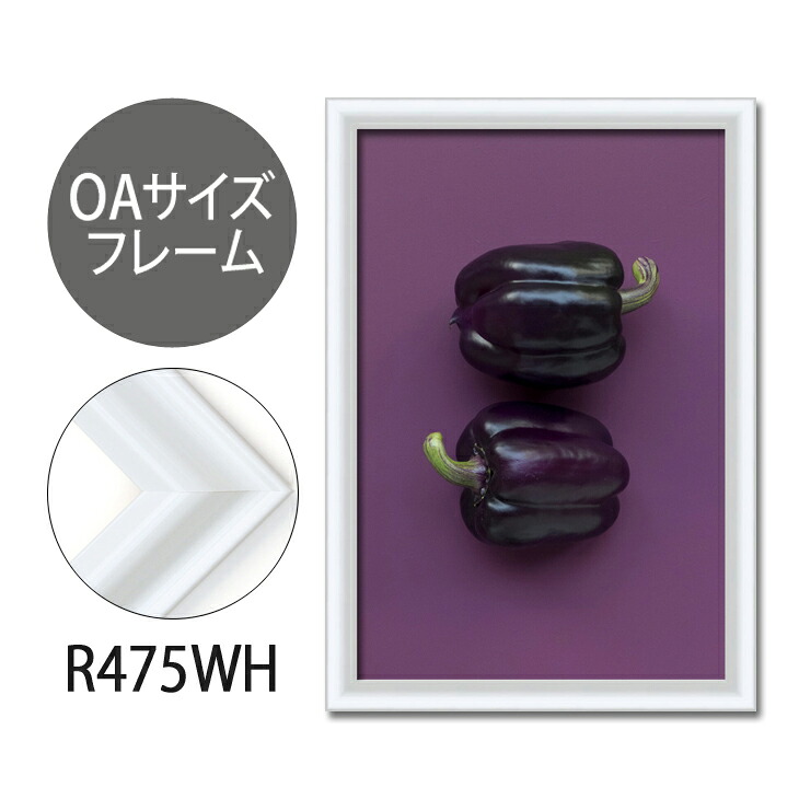 貼り出しひな形 OA大きさ 写真立て【C-R475WH】B1・OA大きさ 見せびらかす 室内装飾 室内かざり付ける  【大型貨物輸送別商いもの】【代引っ張ること不可】