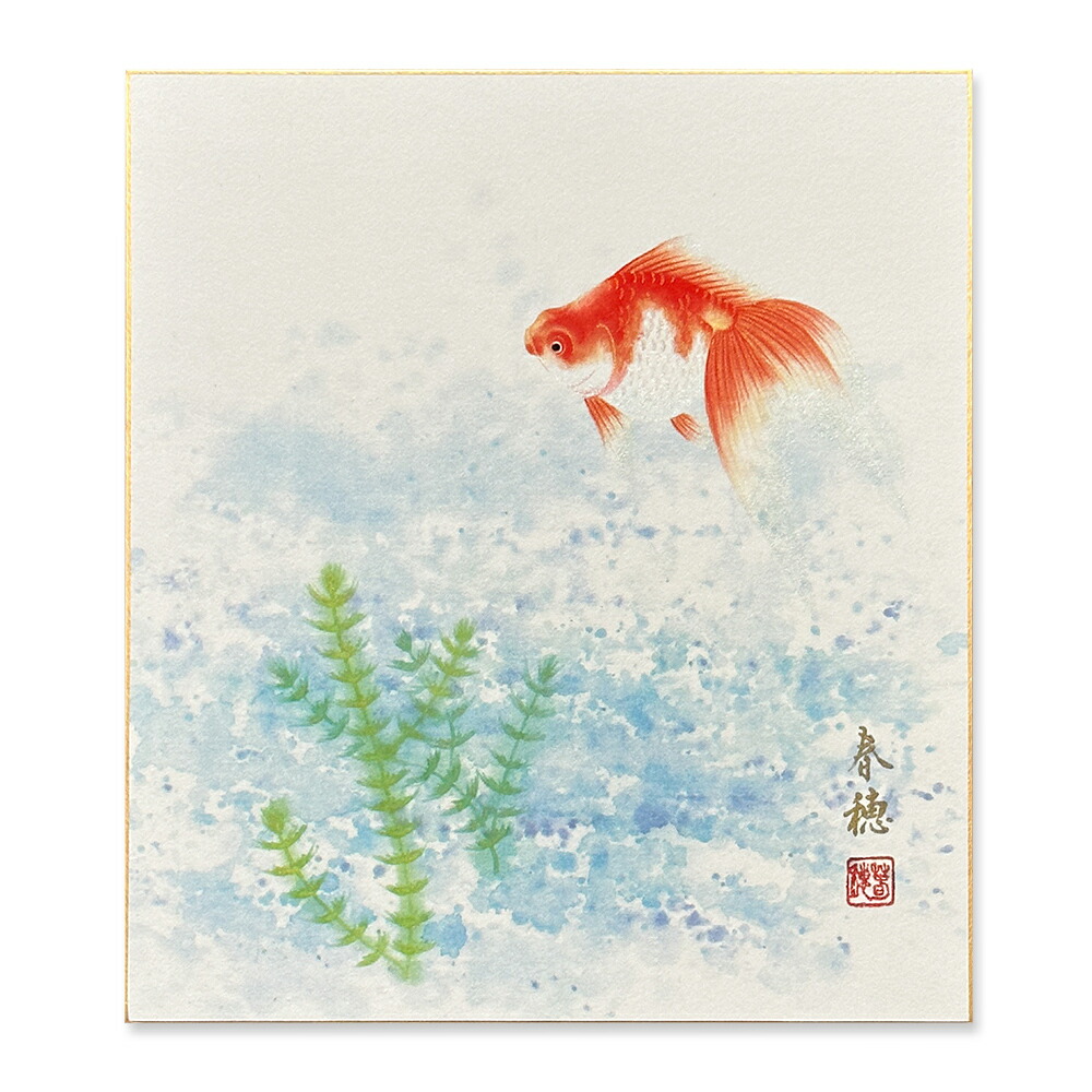 楽天市場】≪メール便対応≫直筆色紙 特別価格初夏【久保春景 金魚 020