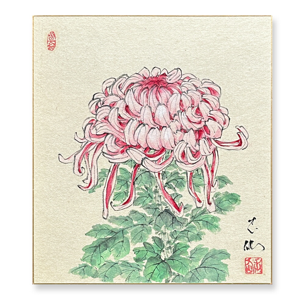 楽天市場】≪メール便対応≫アウトレット色紙 初秋【鶏頭 066