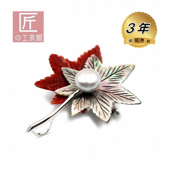 未使用品 碌山 赤珊瑚 シルバー ブローチ 兼 ペンダント 楽天市場】日本・高知産赤珊瑚 ブローチ ペンダント兼用