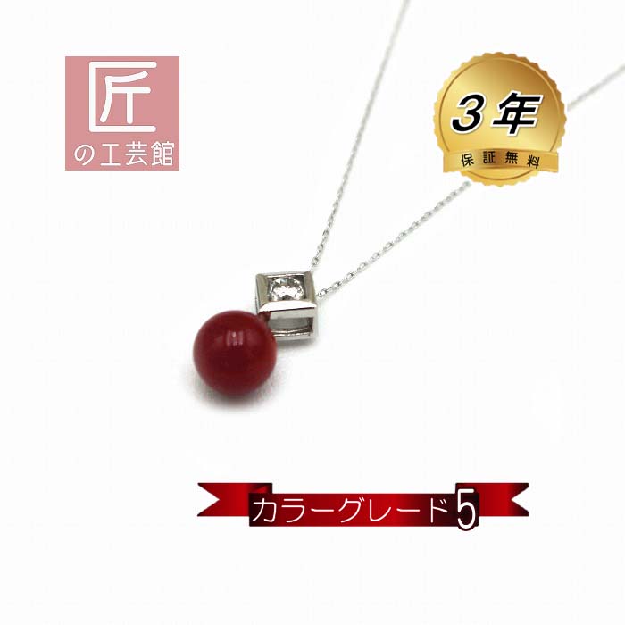 楽天市場】【全品ポイント5倍】 血赤珊瑚 ペンダント トップ サンゴ