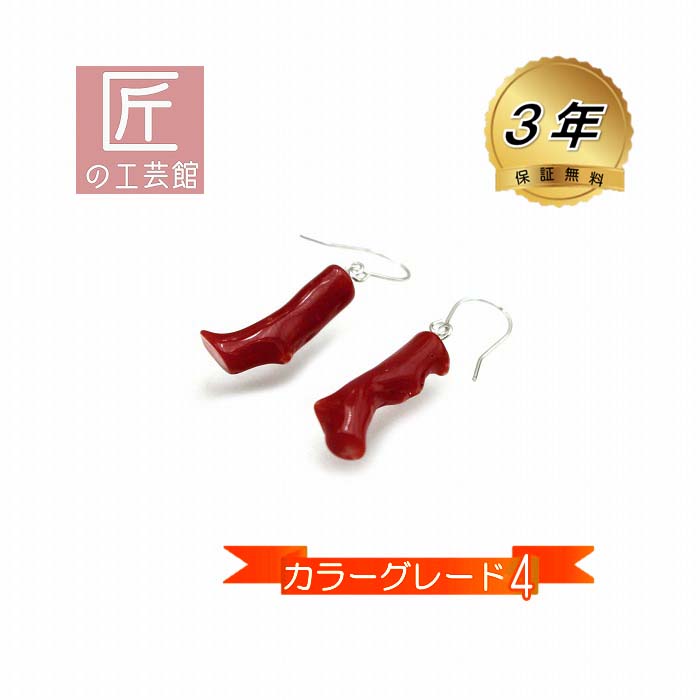 血赤珊瑚 ピアス 枝 （のし等ギフト対応無料） 14金ホワイトゴールドのアメリカンピアス金具に枝型の高知県産血赤珊瑚のフックピアス 揺れるピアス 無染色さんご 日本産 サンゴ ピアス K14WG｜珊瑚アクセサリーの匠の工芸館