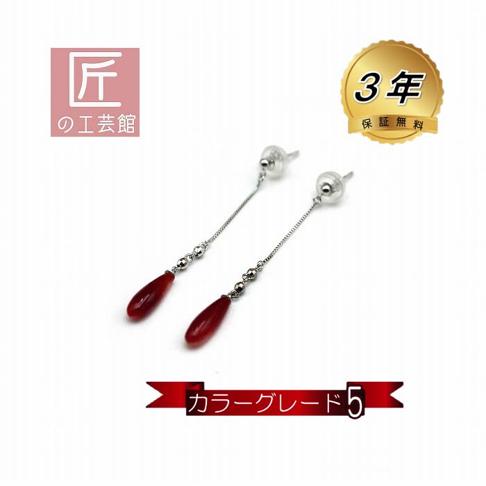 血赤珊瑚 ピアス ブラ 10ミリ つゆ型 カラーグレード5 高知産血赤珊瑚（のし等ギフト対応無料）K14WG 揺れるピアス 22,400円
