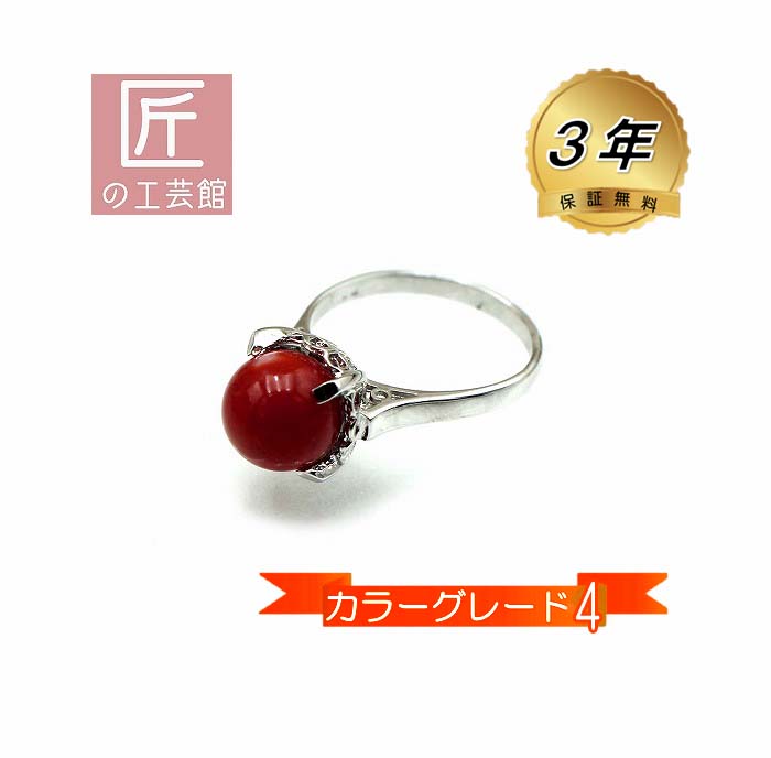 血赤珊瑚 指輪 （のし等ギフト対応無料 ） シルバー金具のリング カラーグレード4 約8.6ミリの血赤珊瑚玉 無染色さんご silver