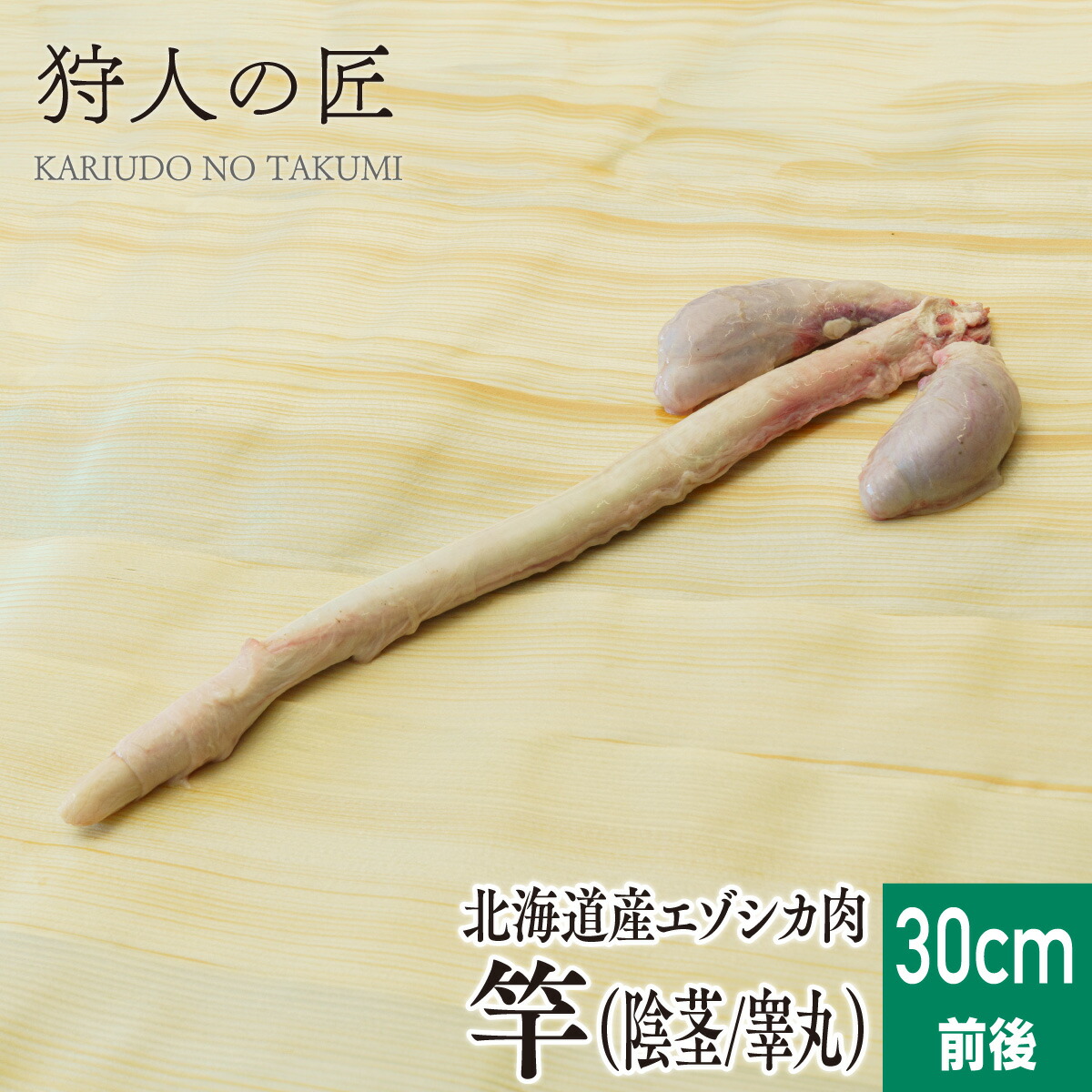 楽天市場】□龍香堂□☆珍品！北海道エゾシカ（蝦夷鹿）落ち角