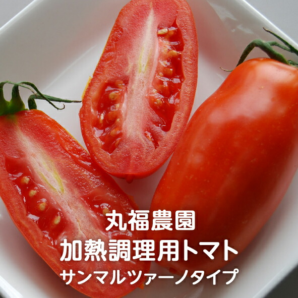 □≪毎日がとまと曜日≫ストレートトマトジュース（送料込