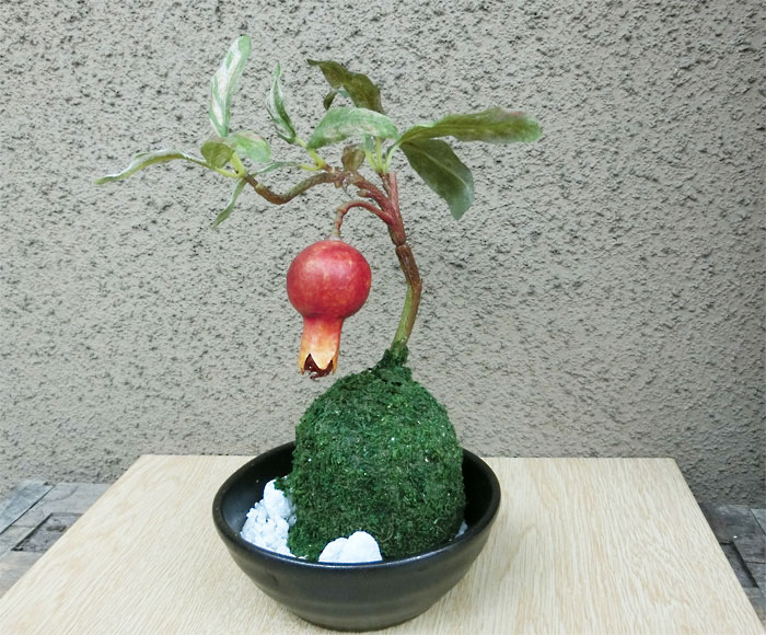 楽天市場 苔玉ざくろ 彩り 枯れない花 匠夢創