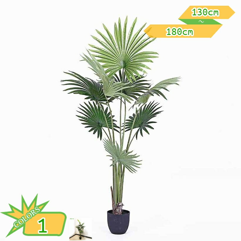 [大人気 ] M4C3NNSH3V3 (M4C3NNSH3V3)
