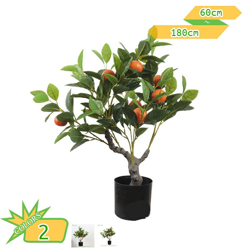 MFGTS1YU669 型番:MFGTS1YU669