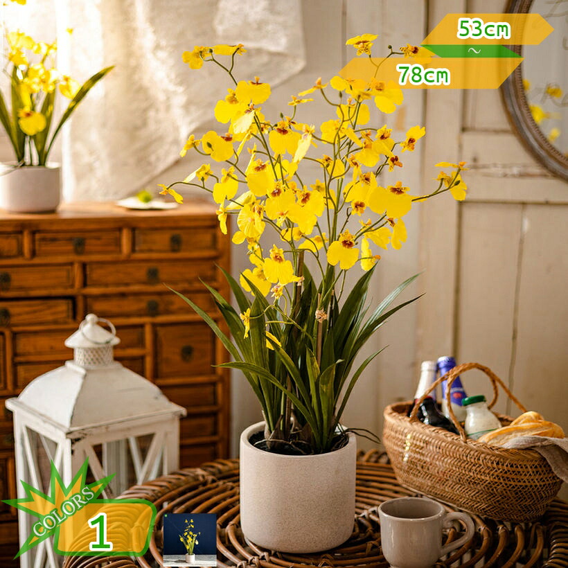 2000円OFFクーポン ミニ 人工観葉植物 卓上置物 デスクサイド オシャレ ミニプランター 観賞用 新築祝い 開店祝い 開業祝い 室内 母の日 父の日 敬老の日 お祝い ギフト おしゃれ 水やり不要 インテリア シルクフラワー 人工観葉植物 takushistore|takushistore