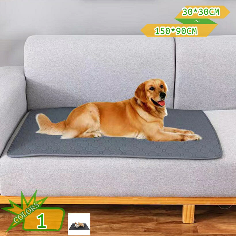 300円OFFクーポン券 洗える愛玩動物敷き布 大判 2枚 立ち小便パッド 呉れ呉れも使える 愛玩動物つや消し 雨合羽 滑らない 介護敷き布 小型 中型 大型犬 猫 小毛の荒物用 介護 超採り入れる 速乾 目こぼし押しとどめる 上滑り打ち切り 洗い濯ぎ機で丸洗い 雨合羽居敷き 床暖房装置相応う 四季生きる takushistore