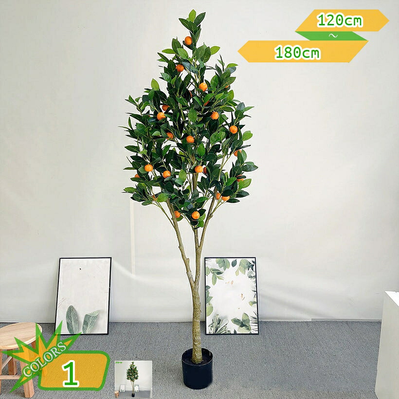 1000円OFFクーポン券 檸檬の木 造花 人工 観葉草木 差し上げ物 差し上げ物 鉢 分かりやすい 人工観葉樹 水やり不必要 害虫根こそぎ不必要 防臭 抗菌 室内 執務室 身寄り 室内装飾緑であること 着飾る 心うれしいの木 風水 開運 営造祝賀会 一緒になる祝賀会 引き越す祝賀会 takushistore