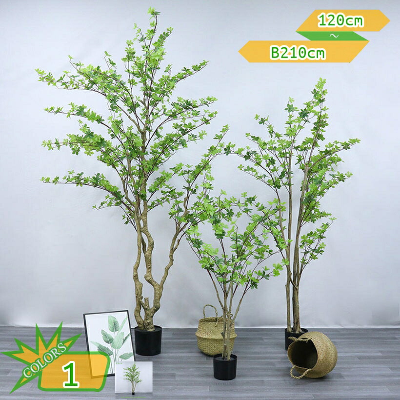 1000円OFFクーポン ドウダンツツジ 人工観葉植物 大型ツリー 本物そっくり 和風 観葉植物 和室向け 常緑樹 かわいい 大きめ インテリアグリーン ギフト おしゃれ装飾 水やり不要 お手入れ簡単 開運 風水 幸福の木 平和の象徴の木 枝の角度調整可能 takushistore｜takushistore