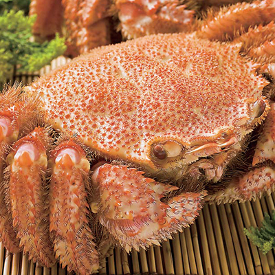 【楽天市場】ボイル毛蟹（超特大）1尾（800〜900g）：北海道ぐるめ館 たくよう