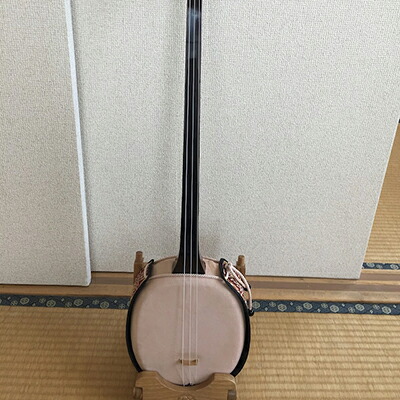 えぞ三弦　タガヤサン