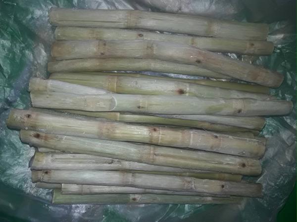 【タイ産】冷凍　さとうきび <br>（12kg／１ケース）<br>送料無料<br><br>ジュース サトウキビ 砂糖きび タイ ベトナム 屋台 お祭り レストラン 飲み物 南国 ブラジル アジアン フィリピン ミャンマー 量販 業販 卸 お徳用 大量 ケース売り