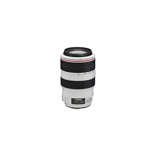 Canon EFレンズ EF70-300mm F4-5.6L IS USM ズームレンズ 望遠｜TalesStore 店 104,019円