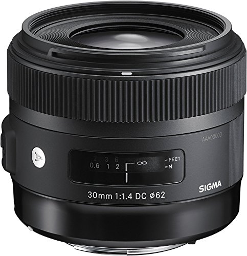 シグマ(Sigma) SIGMA シグマ Nikon Fマウント マウント水晶体 30粍 F1.4 DC HSM 単興味の中心 判定基準 APS-C Art一眼二眼レフ専用