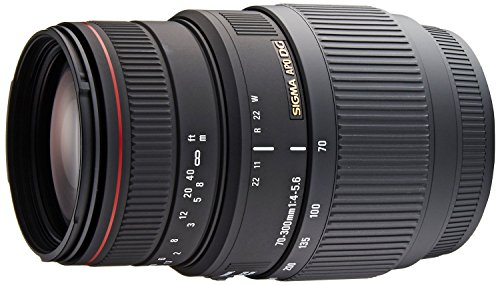 SIGMA 望遠望遠レンズ APO 70-300粍 F4-5.6 DG MACRO ソニー用 フルサイズ相応う 508340