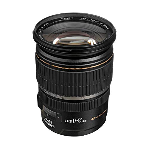 Canon 広角ズームレンズ EF-S17-55mm F2.8 IS USM APS-C対応｜TalesStore 店