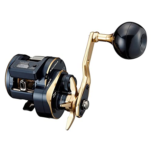 ダイワ(DAIWA) 21 ソルティガIC 300L|TalesStore 店