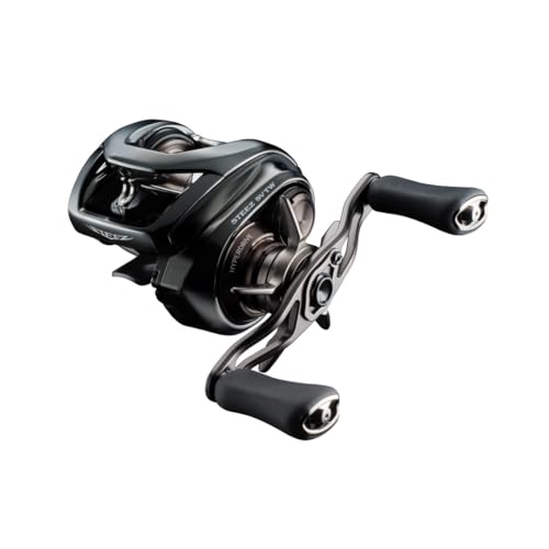 ダイワ(DAIWA) バスベイトリール 24STEEZ(スティーズ) SV TW 100L (2024年青写真)