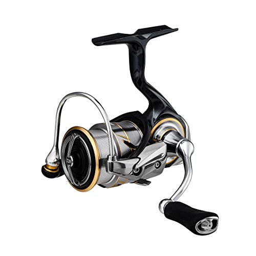 ダイワ(DAIWA) 一般 スピニングリール 20 ルビアス FC LT2000S(2020モデル)|TalesStore 店